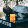 UMD Alumni Coffee