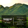 Mexico TB Decaf